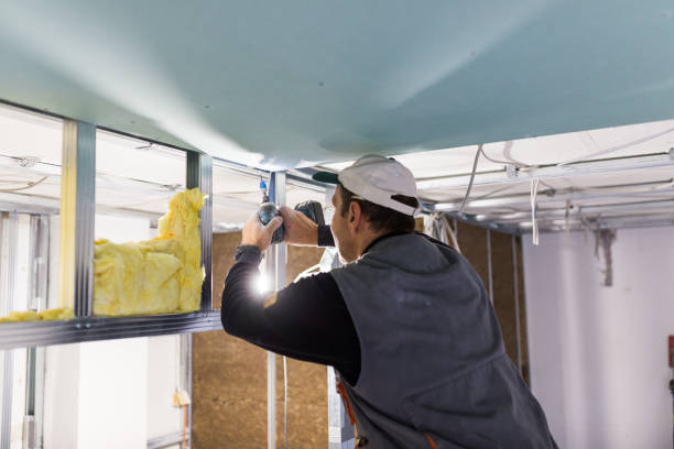 Best Specialized Insulation Services in Casa Grande, AZ