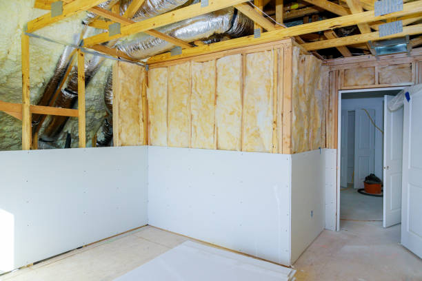 Best Eco-Friendly Insulation in Casa Grande, AZ